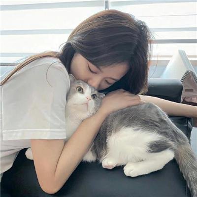 大笨蛋