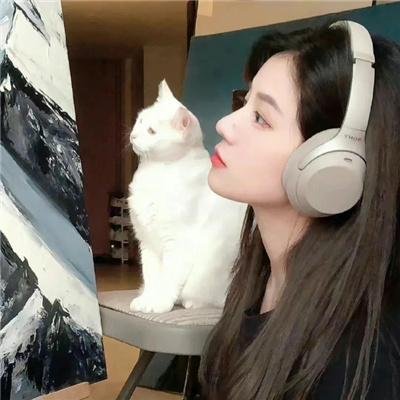 舞女大盗